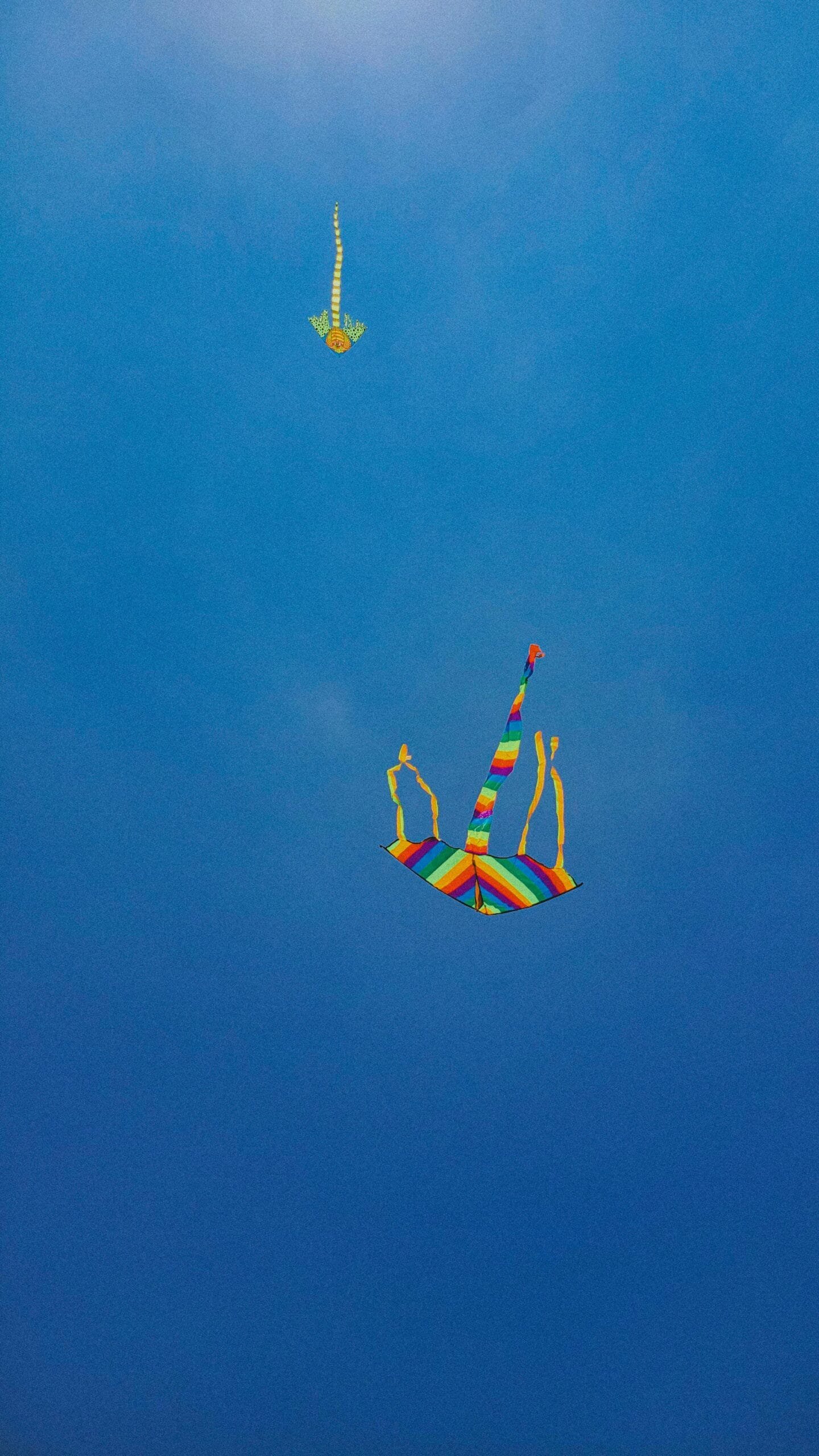 Papalotes volando por el cielo azul de Tequisquiapan un pueblo mágico ubicado en el corazón de Querétaro que respira cultura en cada detalle, la calidez de su gente y el ambiente relajado te harán vivir toda una experiencia si decides viajar a este destino
